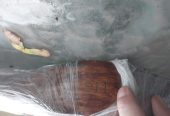 nice wood propeller 62 * 24