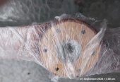 nice wood propeller 62 * 24