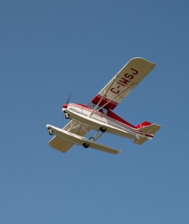 dsc_9299_53130228464_o Large